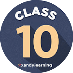 XandY Class 10