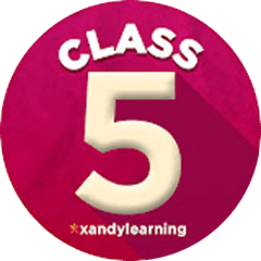 XandY Class 5