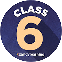 XandY Class 6