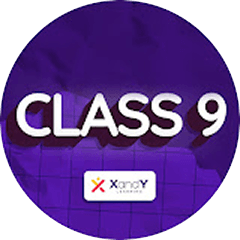  XandY Class 9