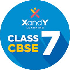 XandY Class 7- CBSE